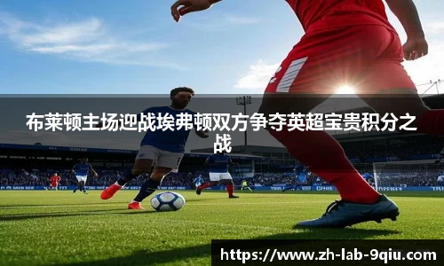 布莱顿主场迎战埃弗顿双方争夺英超宝贵积分之战